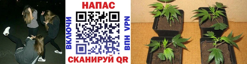 Наркошоп купить А ПВП  Меф мяу мяу  ГАШИШ  Бошки Шишки  АМФЕТАМИН  Кокаин  Ужур