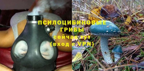 дмт Вязьма