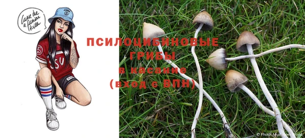 дмт Вязьма