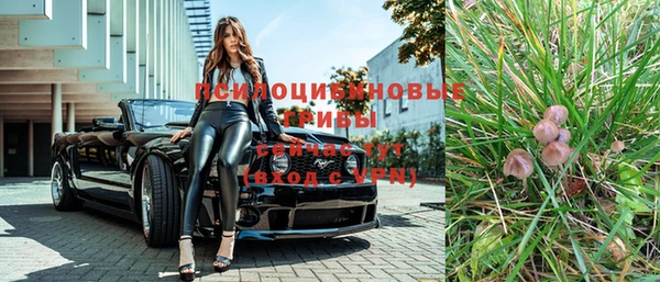 дмт Вязьма